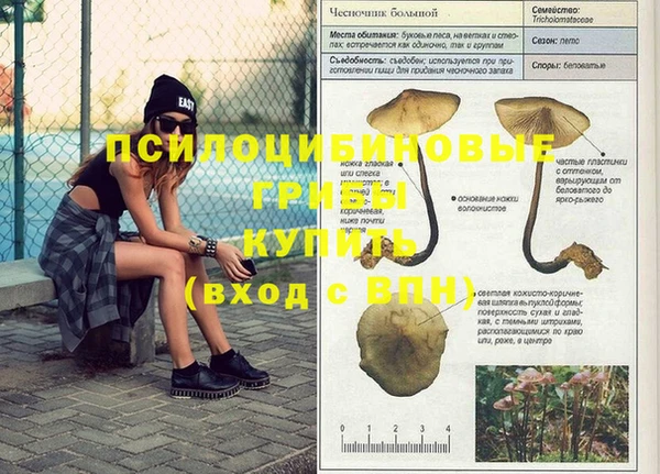 круглые Алексин